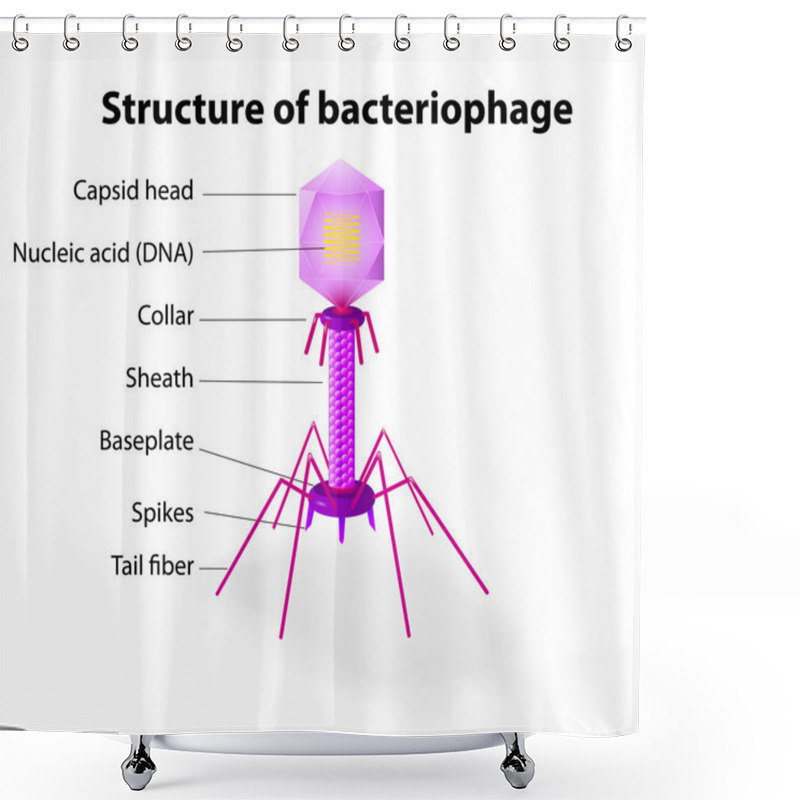 Personality  Structure Of Virus Bacteriophage Shower Curtains