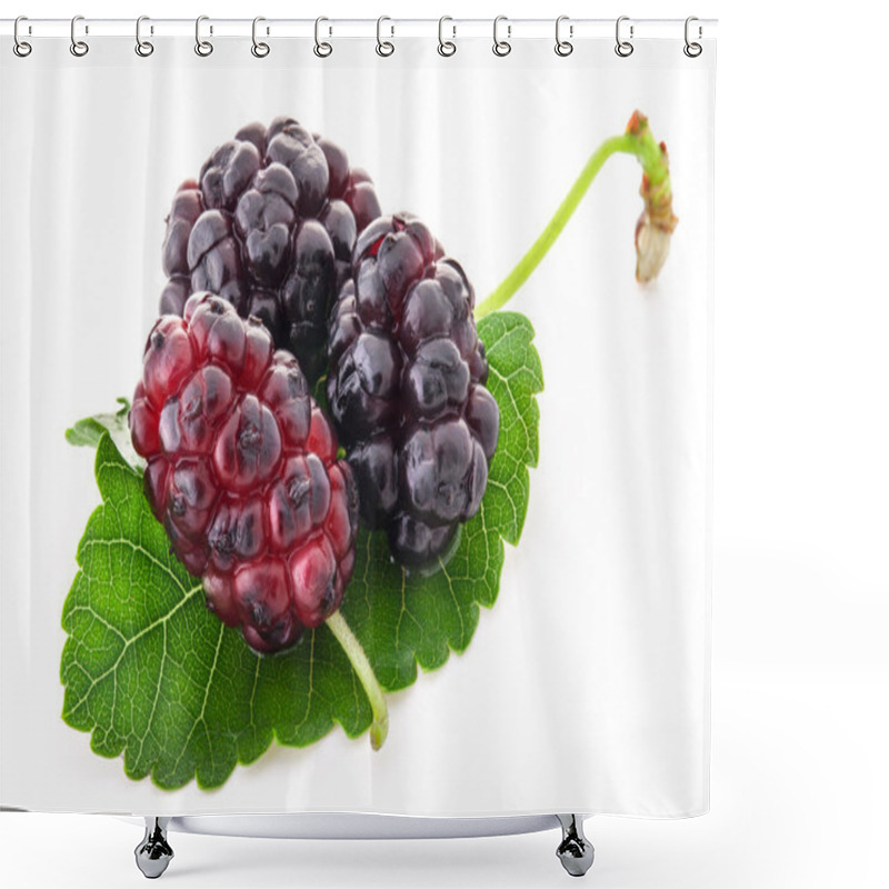 Personality  Mulberries Shower Curtains