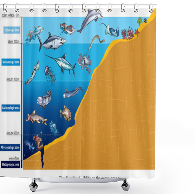 Personality  Ocean Zones Shower Curtains