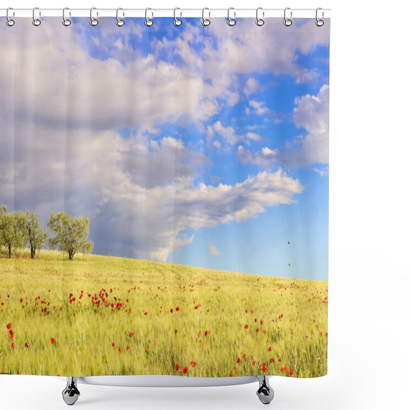 Personality  Between Apulia And Basilicata.Hilly Landscape With Cornfields.ITALY Shower Curtains