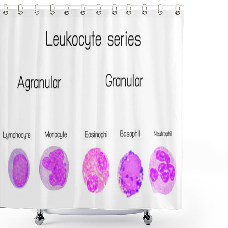 Personality  Leukocyte Series  On A White Shower Curtains