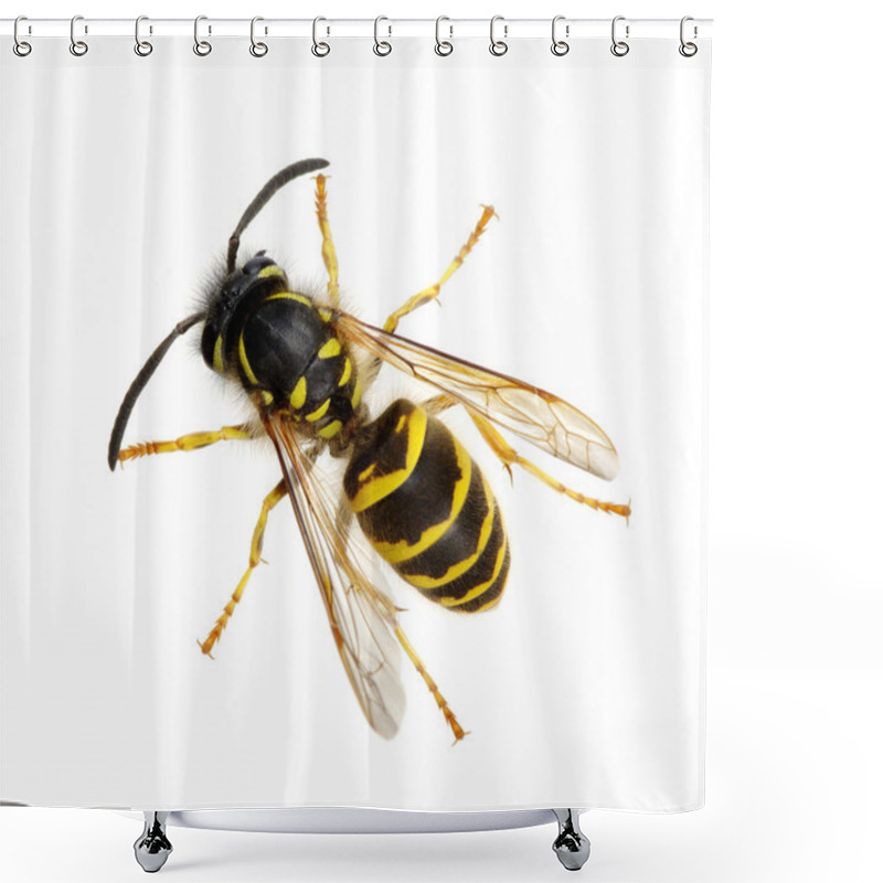 Personality  Insect Isolated On White  Shower Curtains