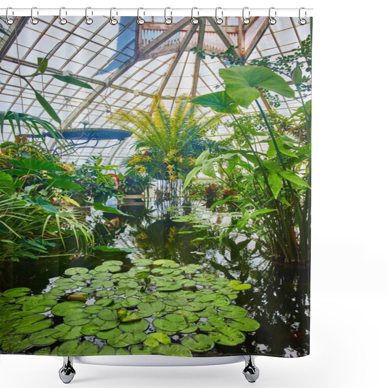 Personality  Image Of Wide View Of Conservatory With Pool Of Water With Lily Pads And Plants Growing Out Of The Pond Shower Curtains