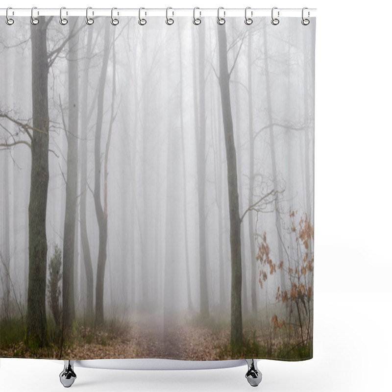 Personality  Forest Road In Fog  Shower Curtains