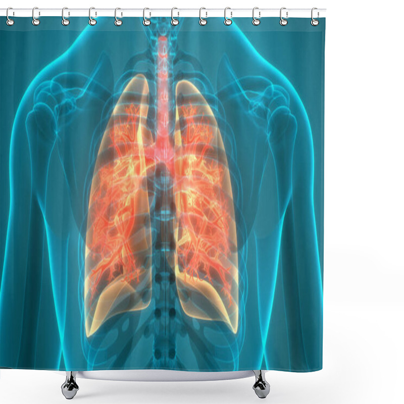 Personality  Human Body Organs (Lungs) 3D Shower Curtains