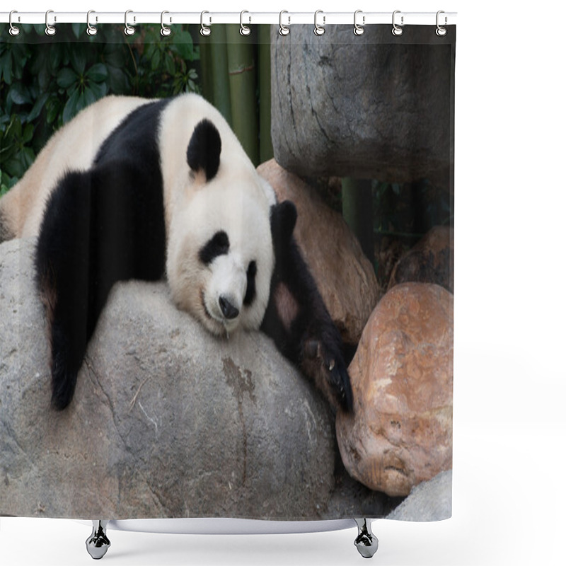 Personality  Giant Panda Shower Curtains