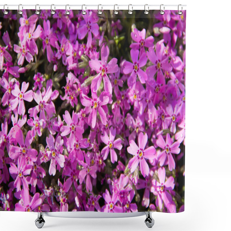 Personality  Pink Flowers Shower Curtains