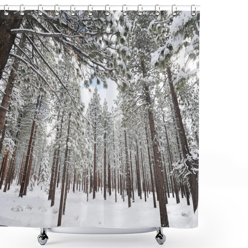 Personality  Trees Covered With Snow In Mountains Shower Curtains