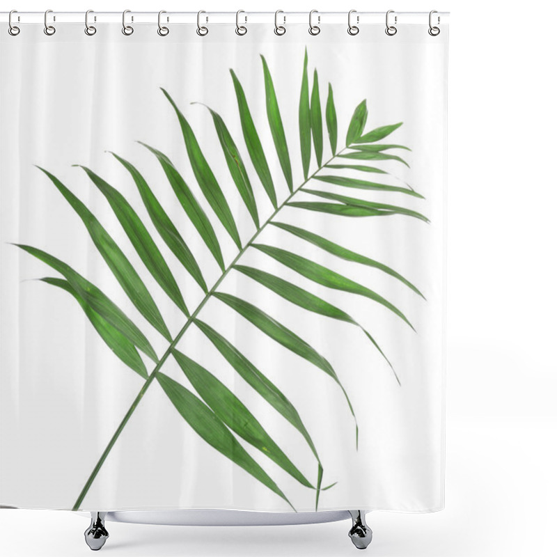 Personality  Beautiful Palm Leaf Isolated On White Shower Curtains