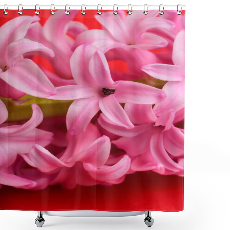 Personality  Pink Hyacinth Close-up Blossom Shower Curtains