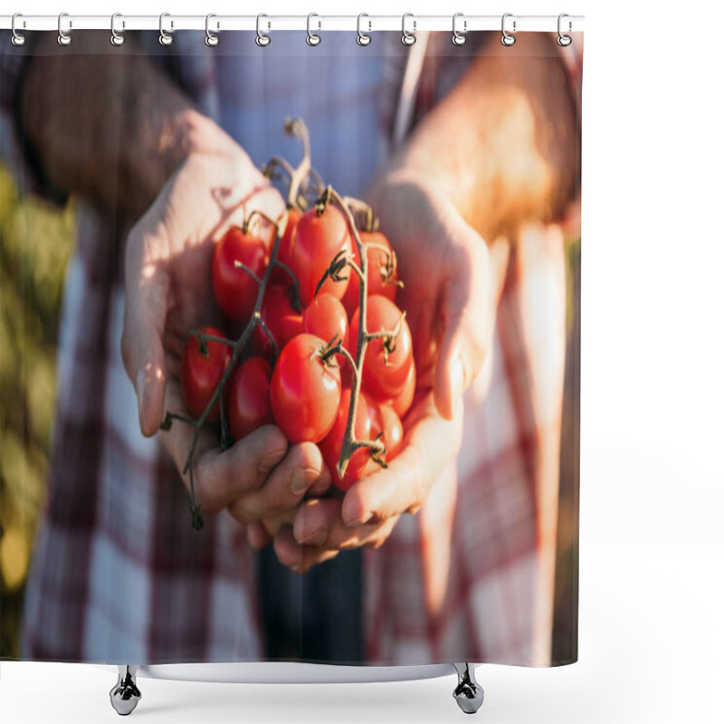 Personality  Farmer Holding Tomatoes Shower Curtains