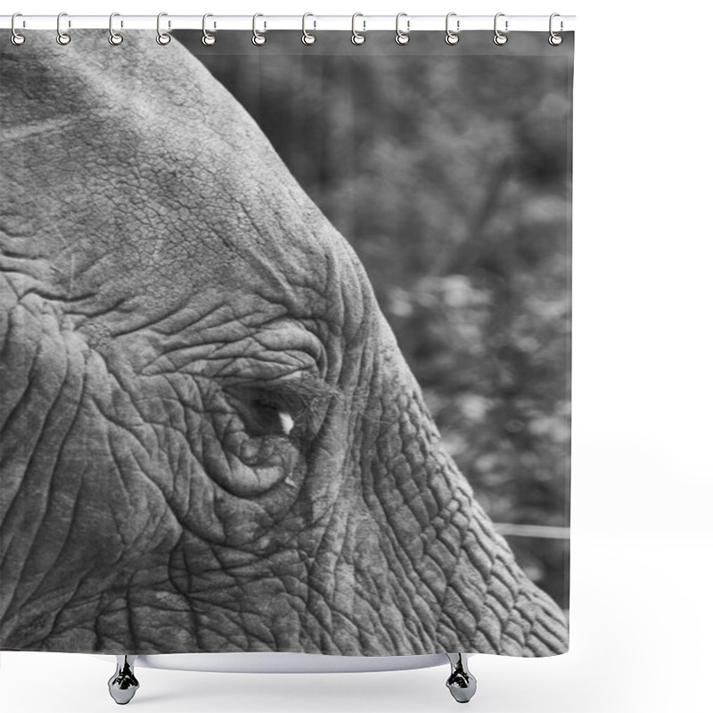 Personality  Close-up Of A Majestic Elephant's Textured Skin And Expressive Eye. Shower Curtains