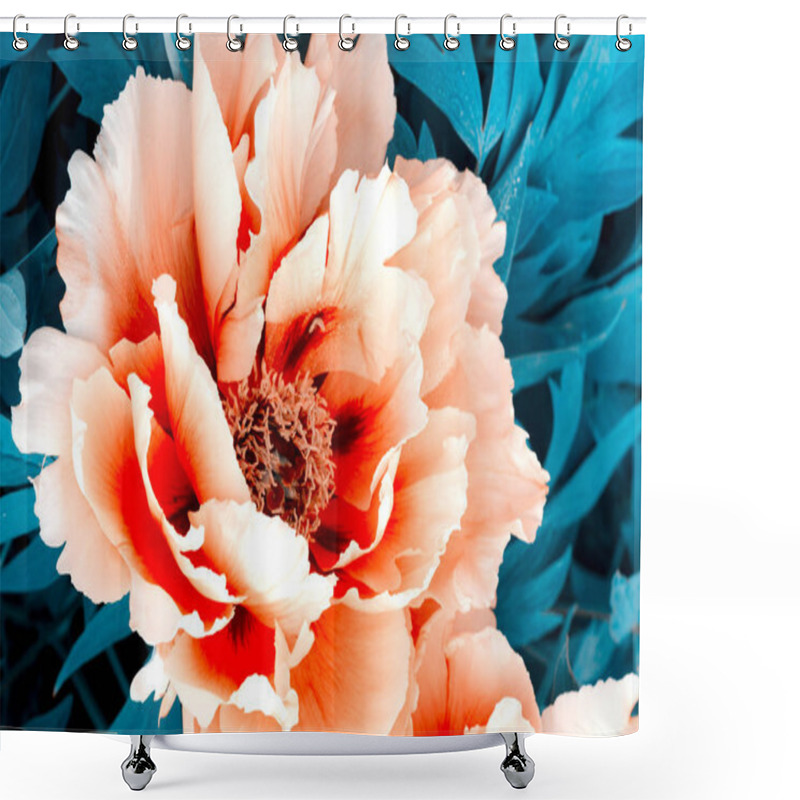 Personality  Beautiful Gentle Pink Peony Flower Growing In The Summer Garden. Mountain Tree Peony. Shower Curtains