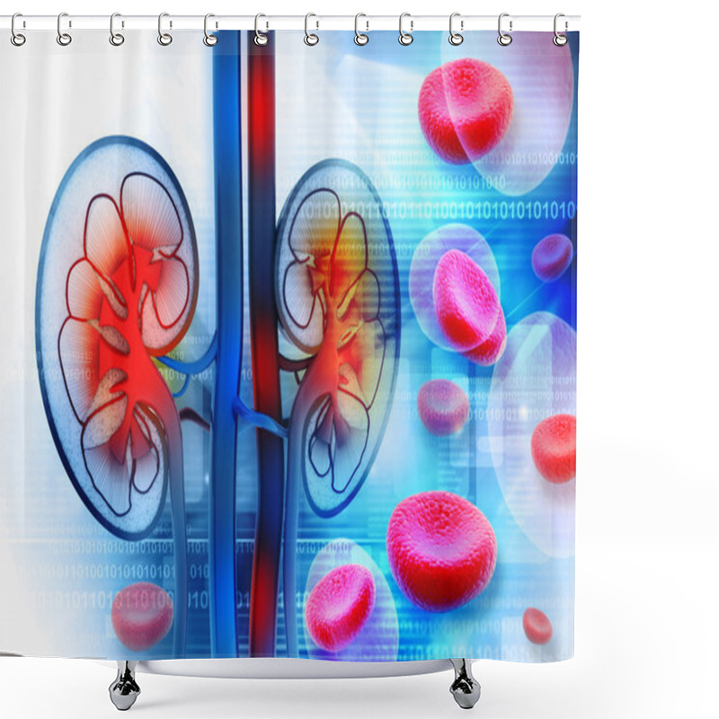 Personality  Human Kidney Cross Section Shower Curtains