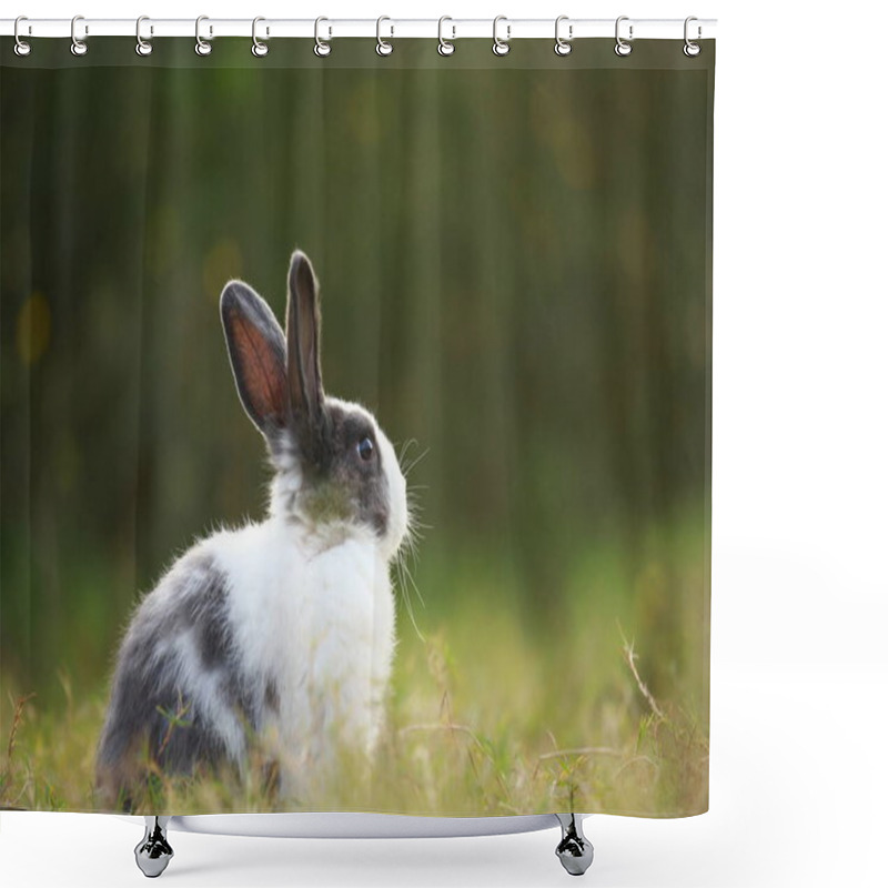 Personality  Adult Rabbit In Green Field In Spring. Lovely Bunny Has Fun In Fresh Garden. Adorable Rabbit Plays And Is Relax In Nature Green Grass. Shower Curtains