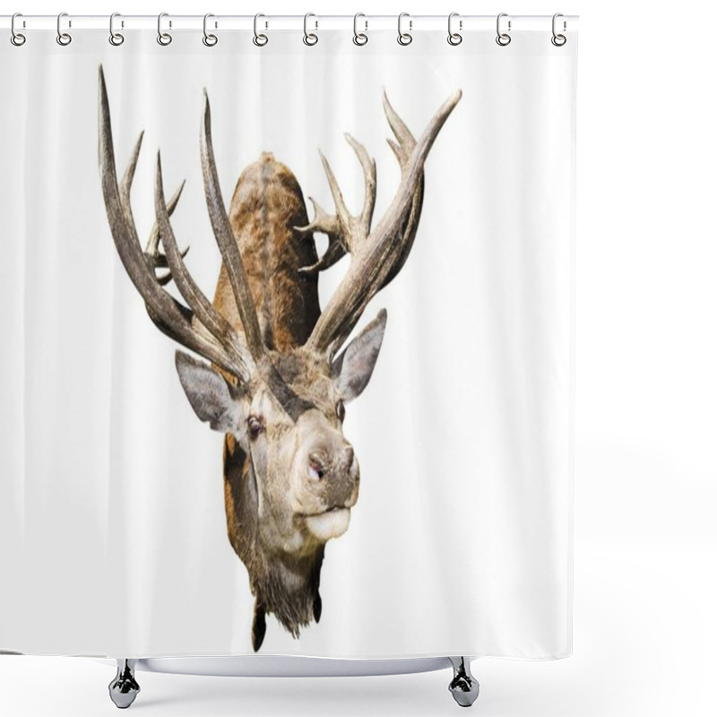 Personality  Free Standing Red Deer Cervus Elaphus Isolated On White Shower Curtains