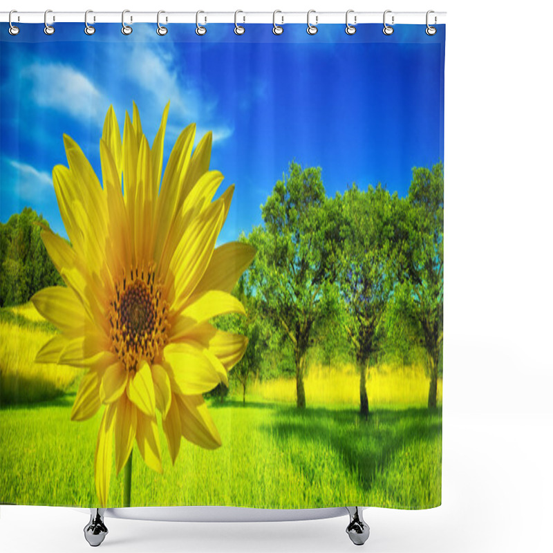 Personality  Spring Background Shower Curtains