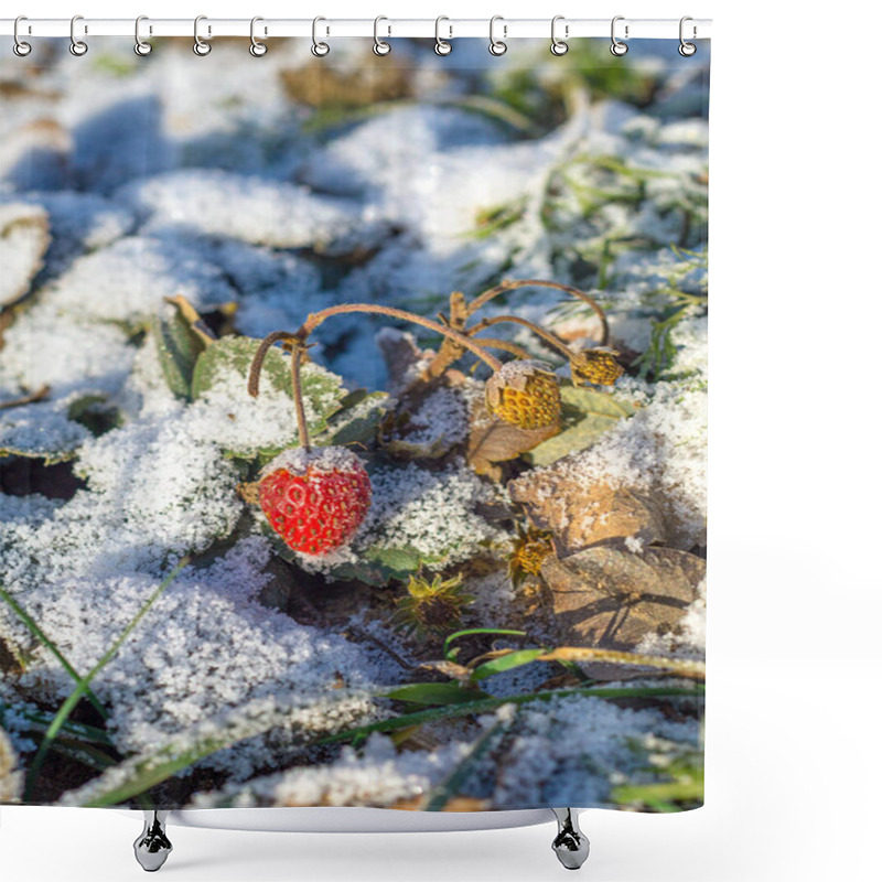 Personality  Strawberries In The Snow. Shower Curtains