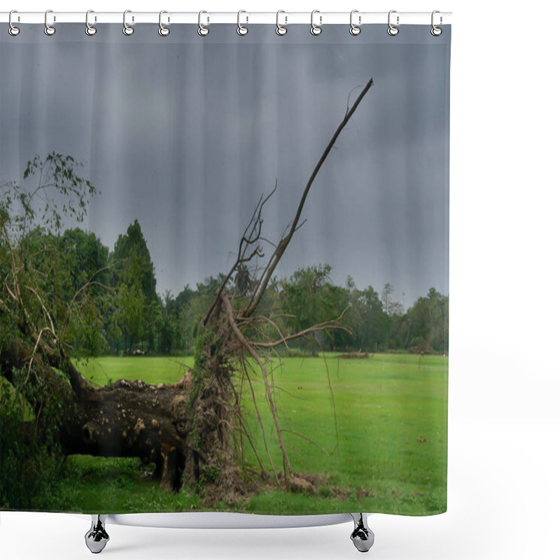 Personality  Super Cyclone Amphan Uprooted Tree Which Fell On Ground In Maidan Area. The Devastation Has Made Many Trees Fall On Ground. Kolkata, West Bengal, India Shower Curtains