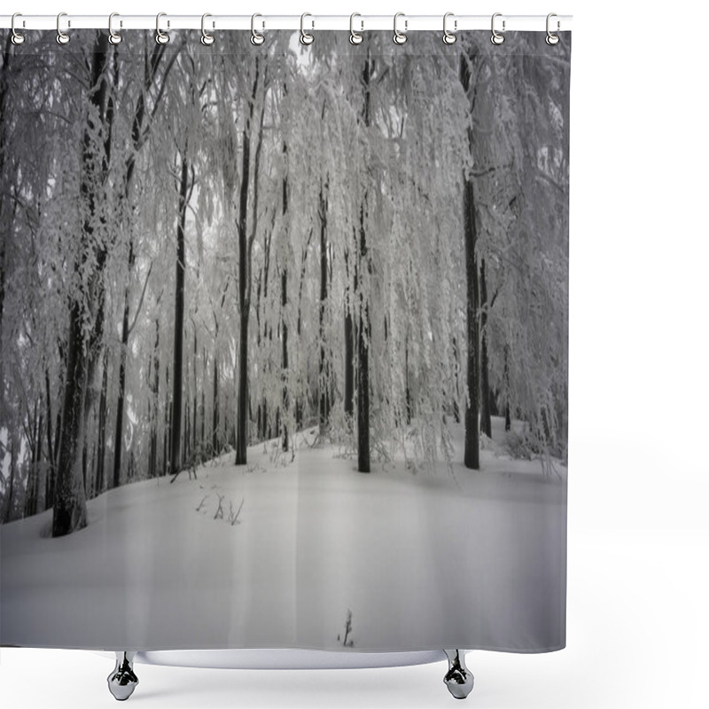 Personality  In The Winter Misty And Freezing Beech Forest Shower Curtains