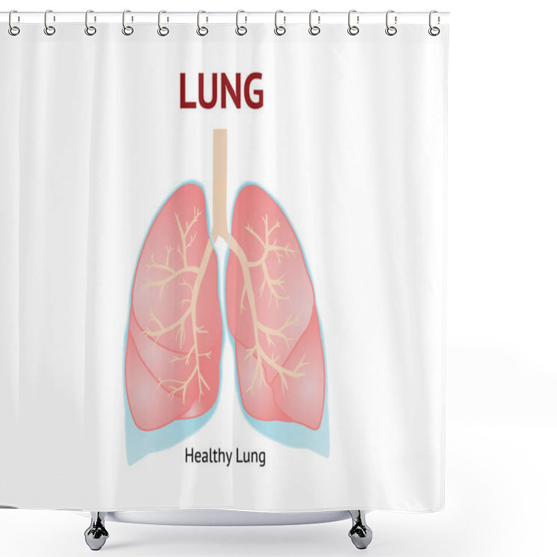 Personality  Human Lungs, Isolated Vector Illustration On White Background. Shower Curtains