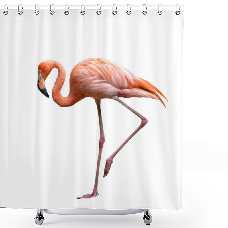 Personality  American Flamingo Bird (Phoenicopterus Ruber) Isolated On White  Shower Curtains