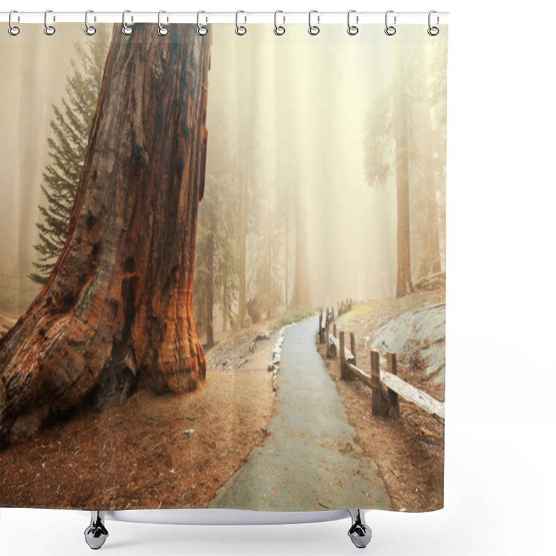 Personality  Sequoia Shower Curtains