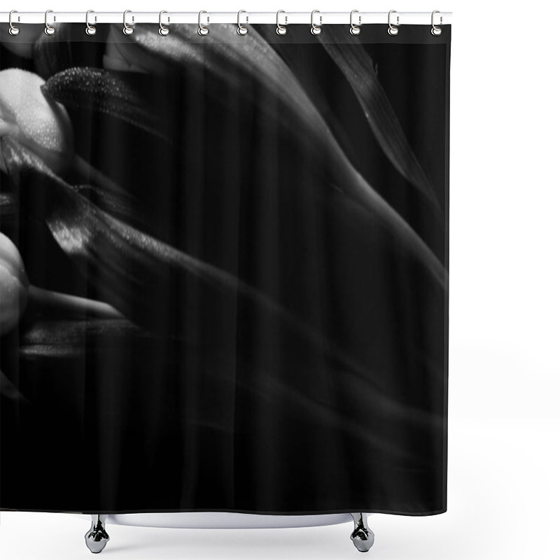 Personality  Black And White Photo Of Plants, Raindrops On Dark Leaves Shower Curtains