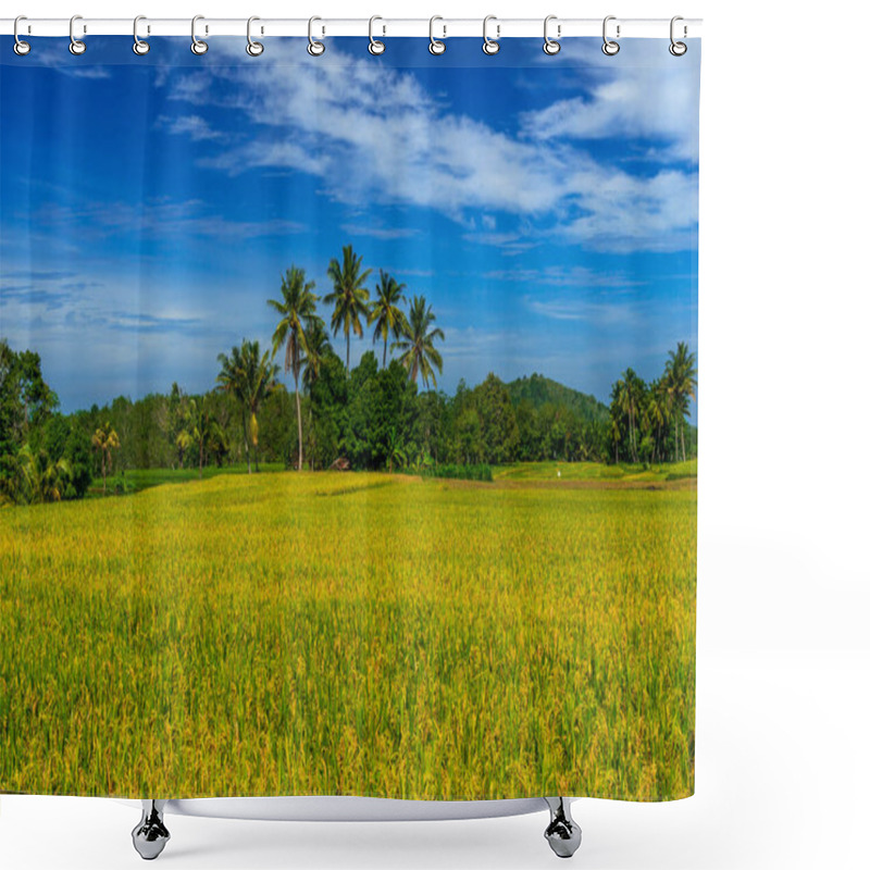 Personality  Beautiful Morning View In Indonesia. Panoramic View Of Yellowed Rice Fields With Bright Blue Sky Shower Curtains