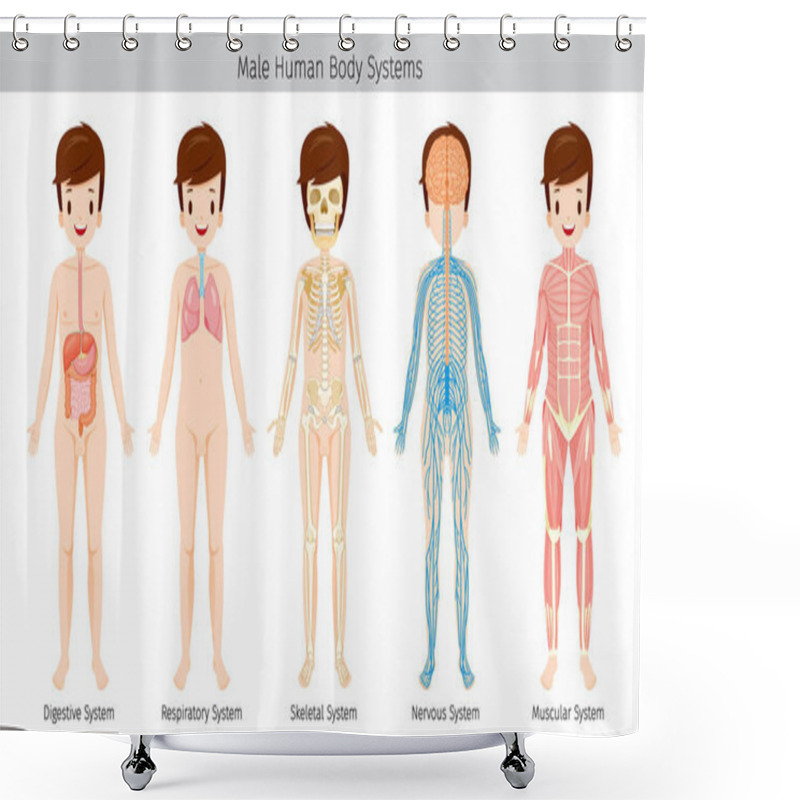 Personality  Male Human Anatomy, Body Systems  Shower Curtains