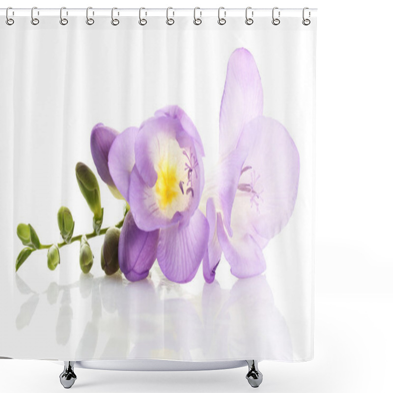 Personality  Purple Freesia Flower, Isolated On White Shower Curtains