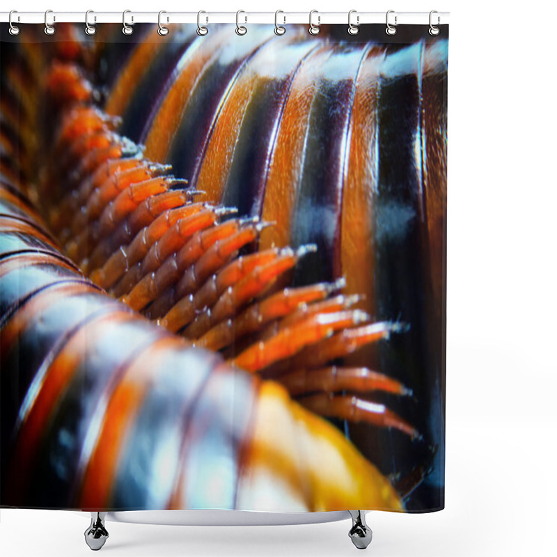 Personality  Close Up Of The Millipede Legs., Shallow Depth Of Field And Selective Focus. Shower Curtains