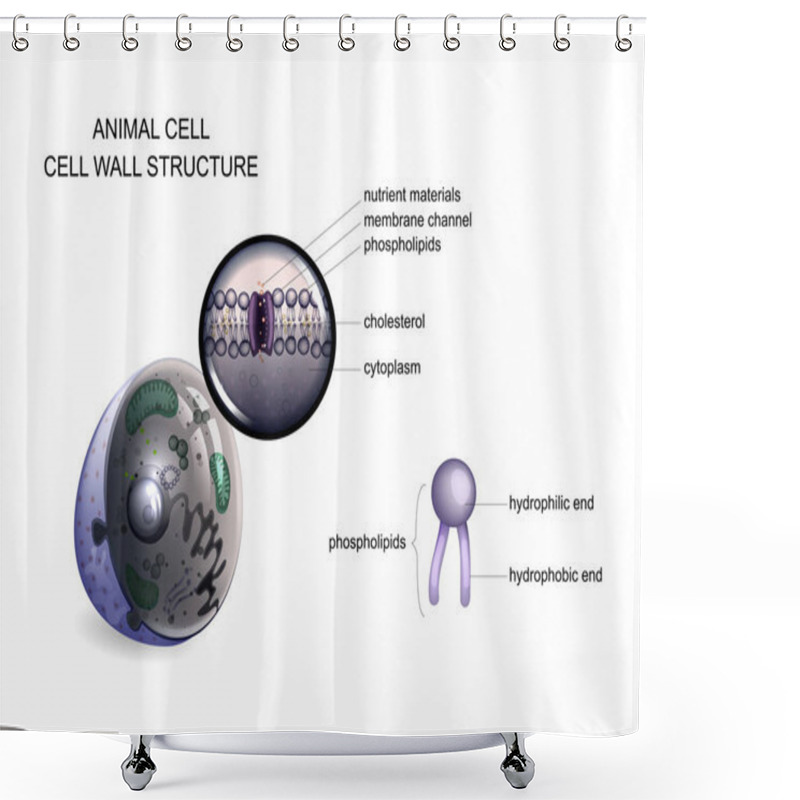 Personality  Animal Cell. Cell Wall Structure Shower Curtains