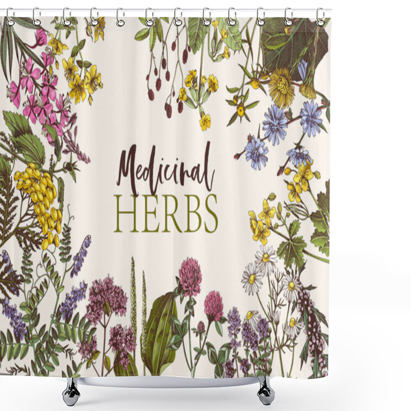 Personality  Hand Drawn Background Of Medicinal Herbs Shower Curtains