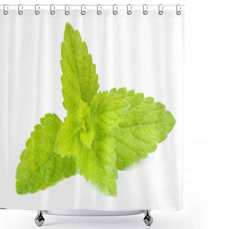 Personality  Lemon Balm (Melissa Officinalis) Isolated On White Background Shower Curtains