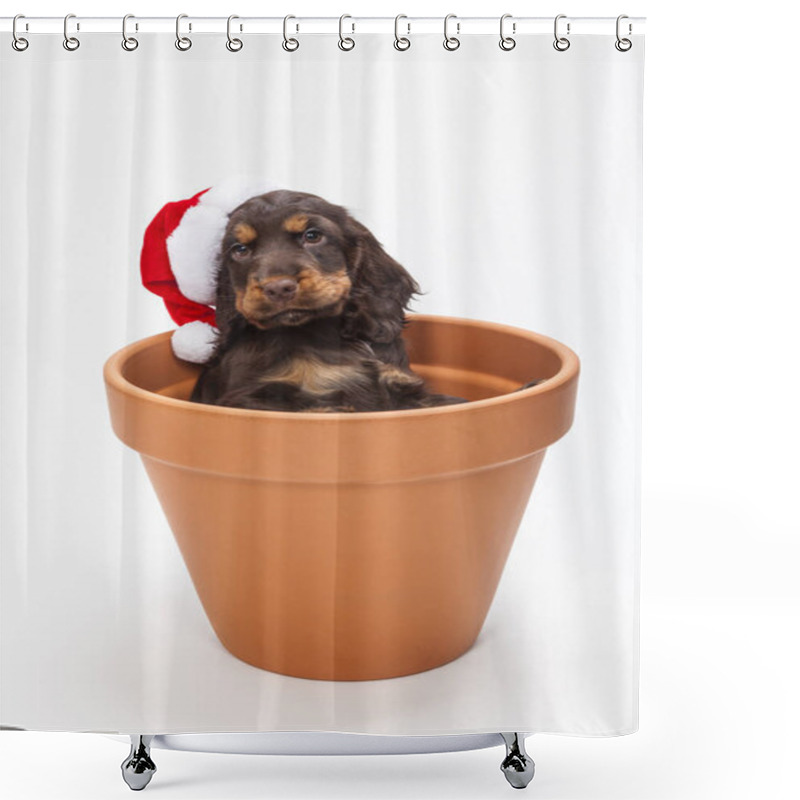 Personality  Cute Spaniel Puppy In Santa Hat Shower Curtains