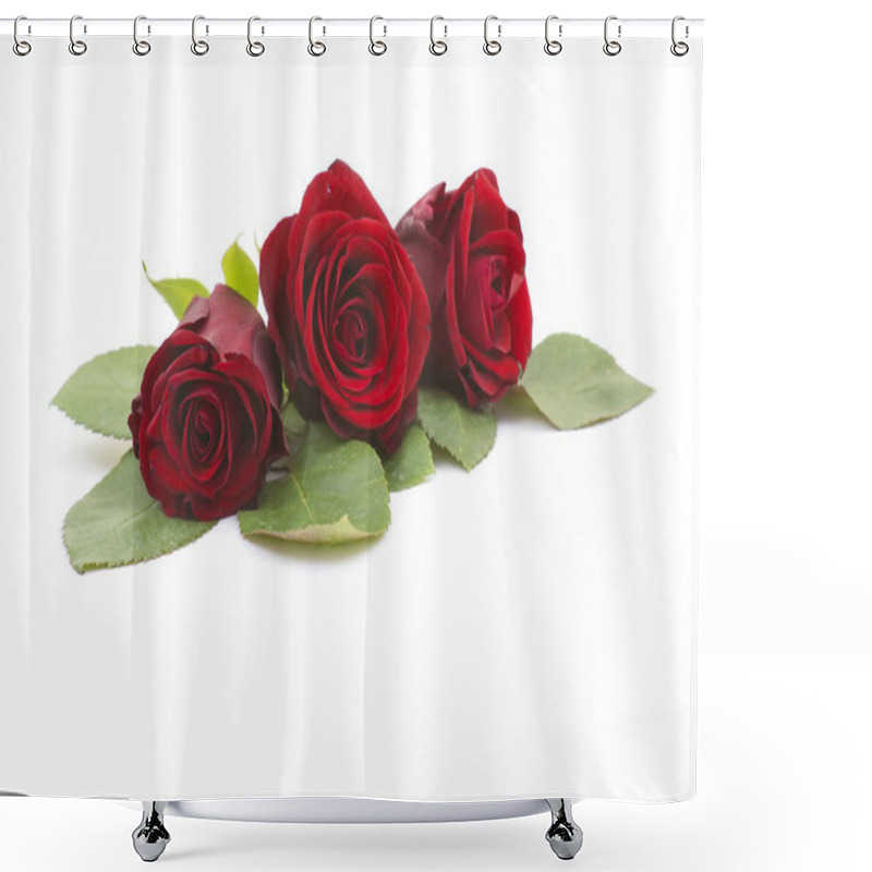 Personality  Red Roses Natural Background Shower Curtains