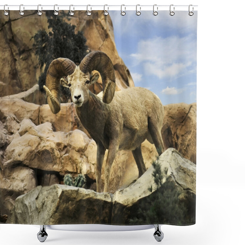 Personality  Desert Bighorn Sheep Shower Curtains