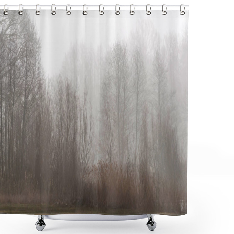 Personality  Nature Reserve With Reed And Bare Trees In Mist. Shower Curtains