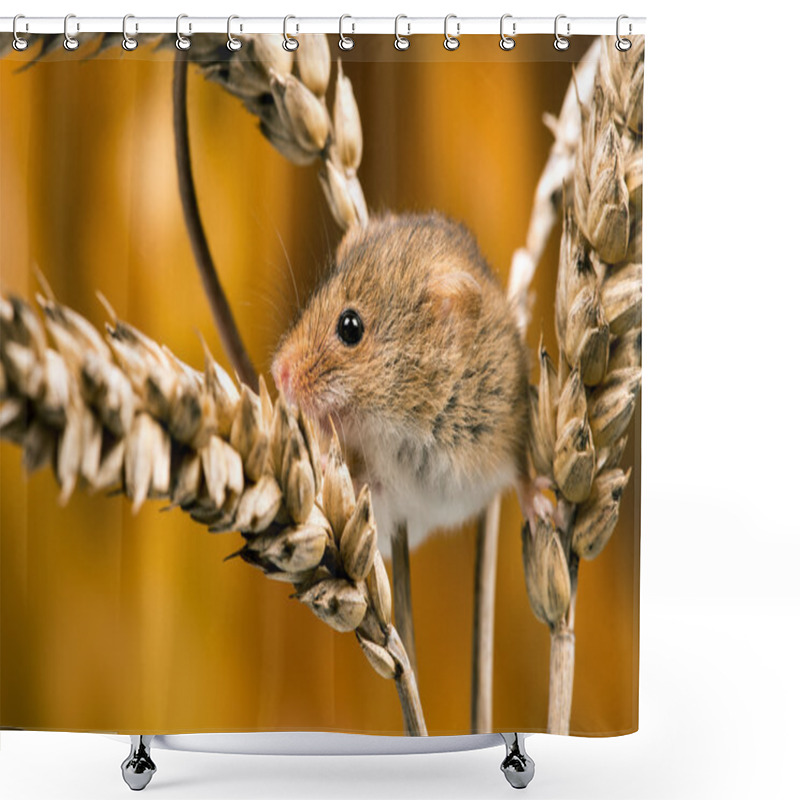 Personality  Field Mouse (apodemus Sylvaticus) Shower Curtains