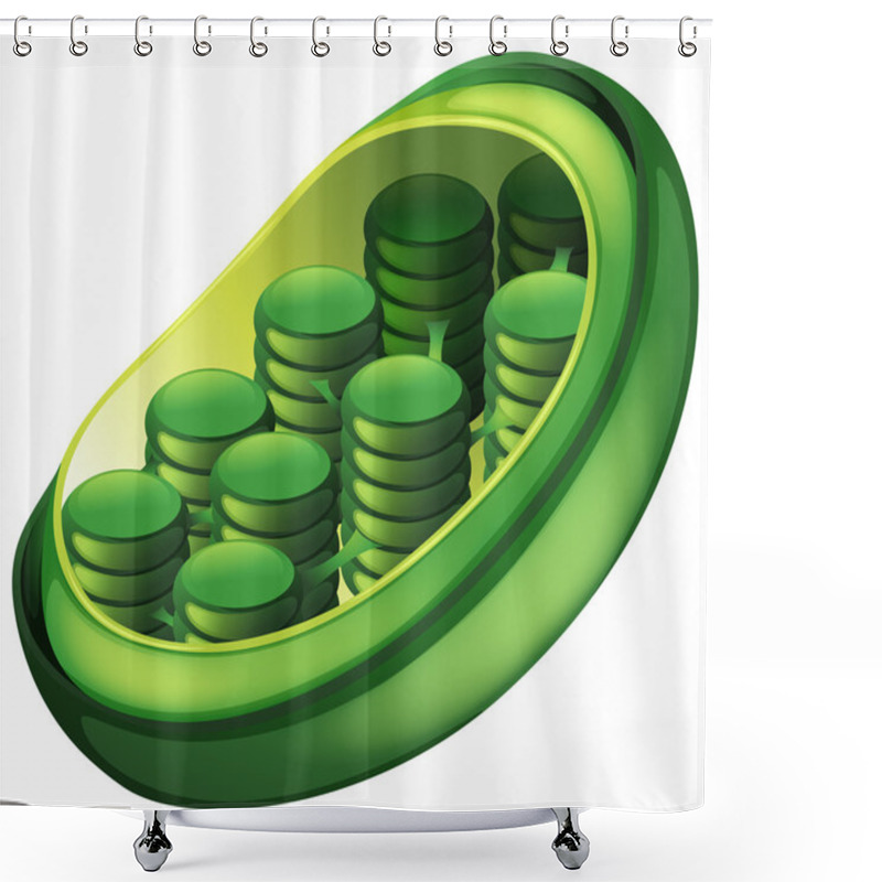 Personality  Chloroplast Shower Curtains