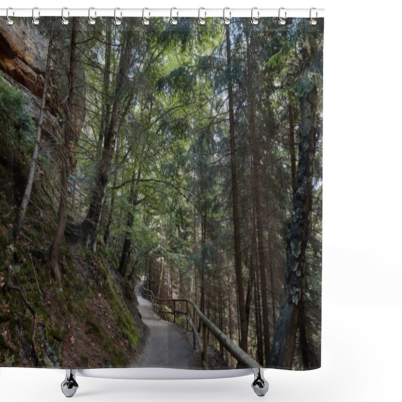 Personality  Pathway And Green Trees In Beautiful Forest In Bastei, Germany Shower Curtains