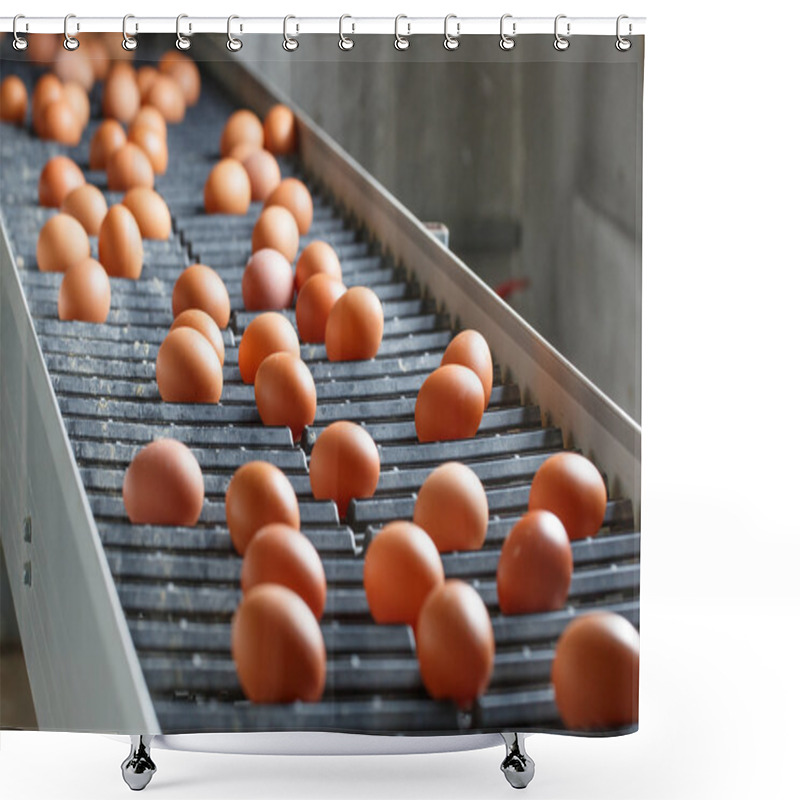 Personality  Fresh And Raw Chicken Eggs On A Conveyor Belt Shower Curtains