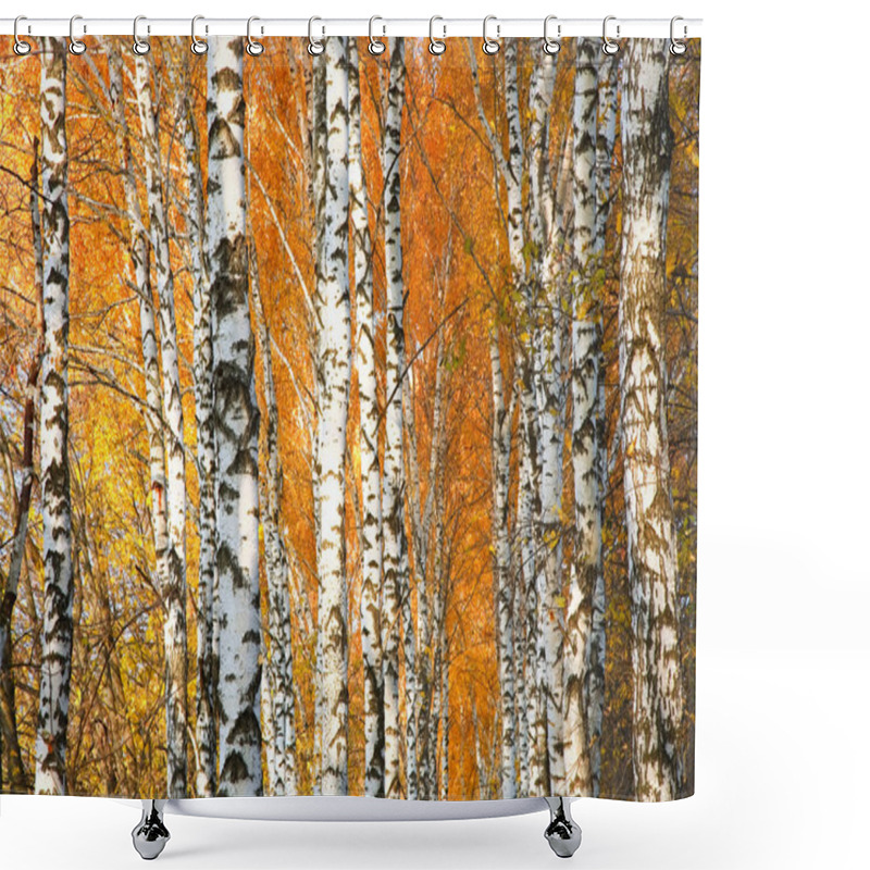 Personality  Autumn Yellowed Birch Forest Shower Curtains