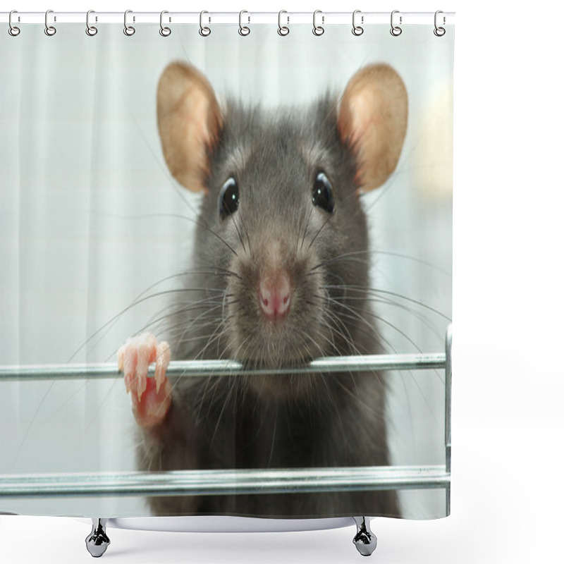 Personality  Funny Rat Shower Curtains