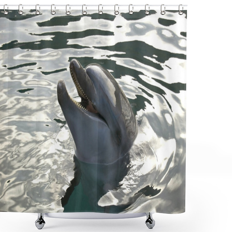 Personality  A Smiling Dolphin Shower Curtains