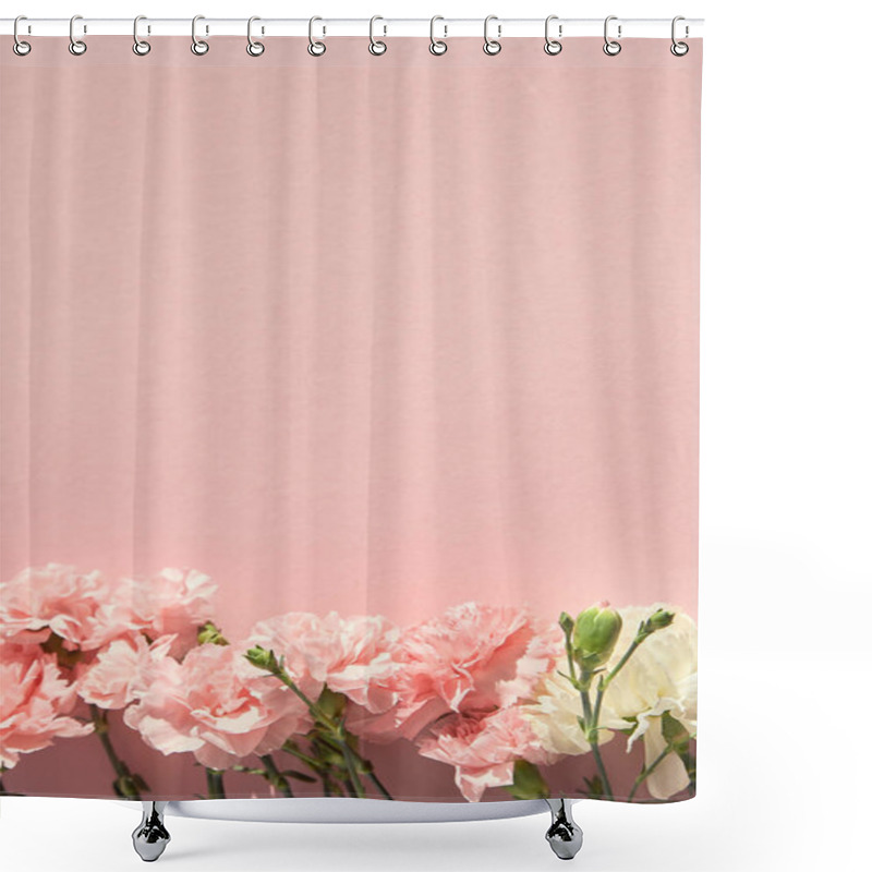 Personality  Top View Of Blooming Carnations On Pink Background Shower Curtains