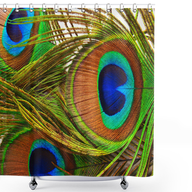 Personality  Bright Feathers Of A Peacock Close Up Shower Curtains