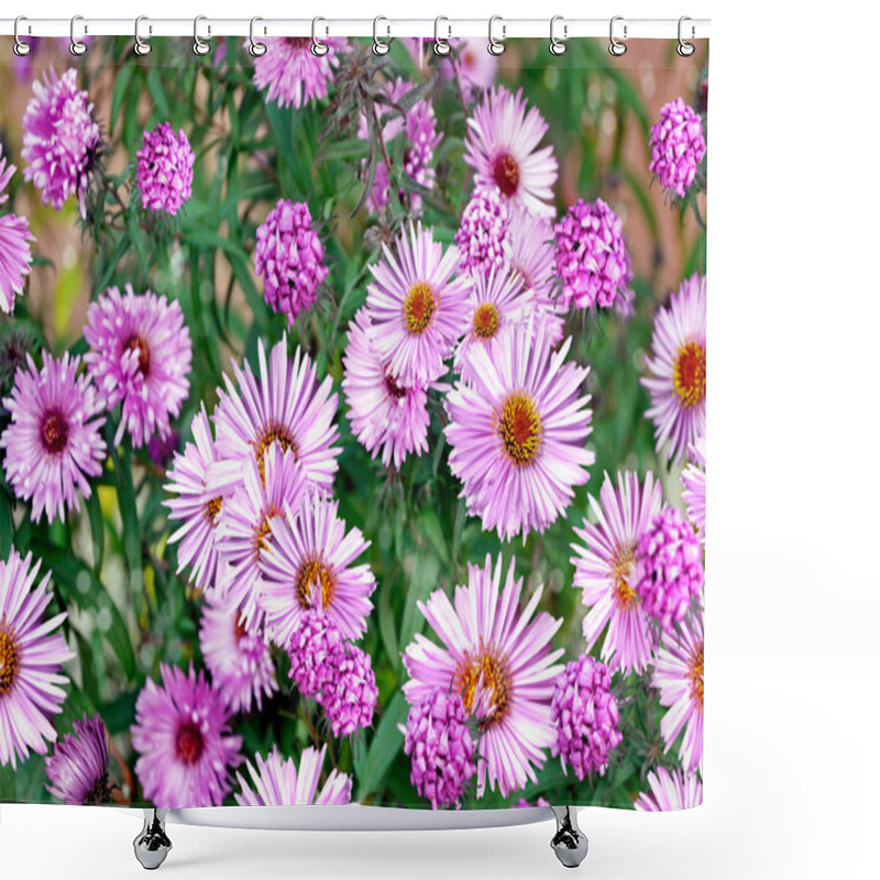 Personality  Chrysanthemum Flowers Shower Curtains