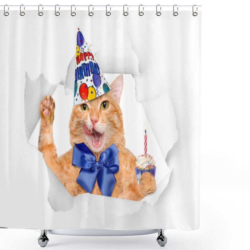 Personality  Birthday Cat . Shower Curtains